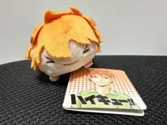 ハイキュー のるキャラ 日向翔陽 中学 雪ヶ丘中学校 タグ付き ハイキュー のるキャラ 日向翔陽 中学 雪ヶ丘中学校 タグ付き
