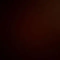 ⭐︎72⭐︎さん専用