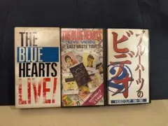 超貴重！ ブルーハーツ映像集 BLUE HEARTS ビデオセット
