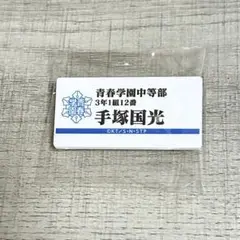 テニスの王子様 テニプリ 手塚国光 ネームプレートバッジ