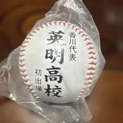 第92回全国高校野球選手権大会 記念ボール