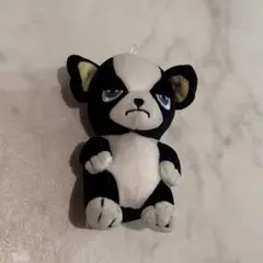 PlayCharm イギー