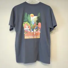 THE NORTH FACE グラフィックTシャツ