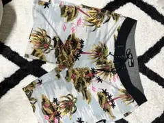 Item thumbnail for item 62c84a13-632f-4865-ba91-eb263b39c8e1