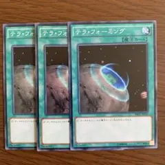 テラ・フォーミング 3枚セット