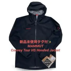 Item thumbnail for item cf19879c-4c7d-437f-b94a-5e260dc1e5be