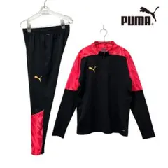 Item thumbnail for item ff8a2ca0-765f-40fd-9bd2-4f5223473437