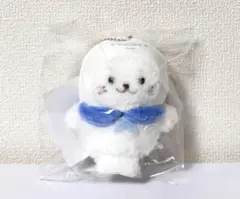 【新品未使用】しろたん　店舗限定　八景島　シロイルカ　キーホルダー　マスコット