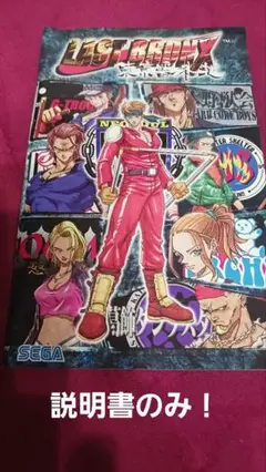 LAST BRONX SEGA AGES 2500シリーズ 説明書のみ←注