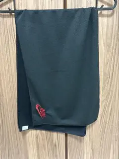ナイキ　NIKE 冷感タオル　新品未使用品　希少品