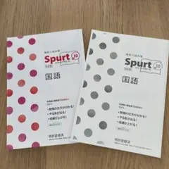 Spurt 10 国語　入試問題集&解答　受験対策　未使用