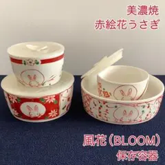 【花うさぎ】茶碗　クリスマス 2025年最新】赤絵花うさぎの人気アイテム - メルカリ
