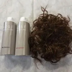 Item thumbnail for item 58b6b63b-3d5b-4c24-803b-34727ef69587