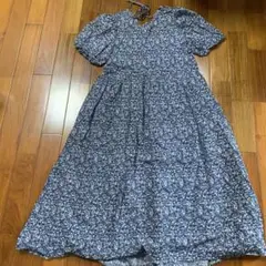 Item thumbnail for item 690fcda0-e89f-4413-91c2-2eb7a1ade726