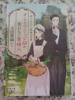 オークブリッジ邸の笑わない貴婦人 : 新人メイドと秘密の写真
