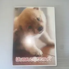 はじめまして ワンタイム
