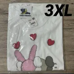 KAWS ユニクロ　カウズ　Tシャツ　3XLサイズ　UT 半袖