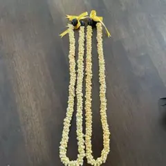 トランプタワーウェルカムレイ