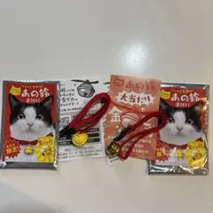 Item thumbnail for item 3ba8471e-6831-427a-a2ba-ccd1c0a18c34