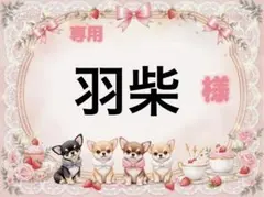 専用