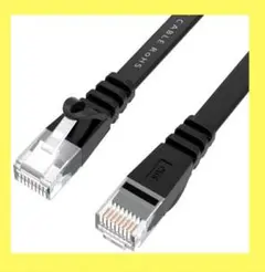 【早い者勝ち！】LANケーブル 3m CAT6 フラットタイプ 黒