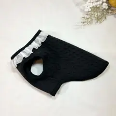 Item thumbnail for item a262a1d7-1409-4687-bf6f-a8ad44eccff6