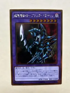 暗黒騎士ガイア・パラディン (効果モンスター)