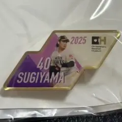 ホークス 杉山一樹 ピンバッジ