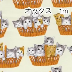 ラスト2点 1m かご猫 アイボリー オックス