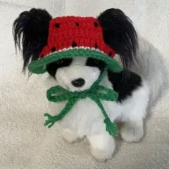 スイカの帽子♥小型犬用帽子・チワワ用♥ハンドメイド
