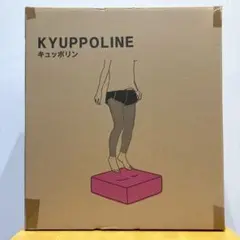 【新品・未開封】KYUPPOLINE キュッポリン エクササイズクッション