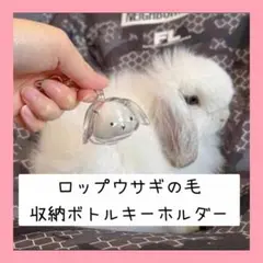 Item thumbnail for item 33aa4229-532c-43da-b066-d136eb43c980