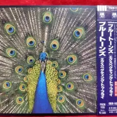 The Bluetones Expecting To Flyブルートーンズ国内盤