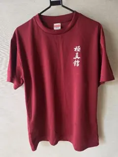 極真空手シャツ