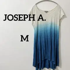 Item thumbnail for item 249a654b-c311-454c-b71d-7ff50fc0c2e2