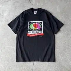 90s FRUIT OF THE LOOM 在原みゆ紀 着用 Tシャツ 企業 L