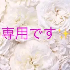 ✨ドモホルンリンクル リニューアル サンプル 保湿液 5本✨