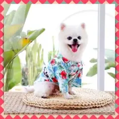 Item thumbnail for item a60c3ba0-0ca4-4487-8908-785ed7ec75da