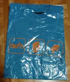 Item thumbnail for item 641c99c2-fd59-4878-b43a-6a89a9f78eae