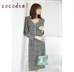 Item thumbnail for item 1c542ee9-bdc3-4f0b-9fab-005d07353923