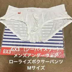 Item thumbnail for item b5a6d2c4-f6a3-4e8e-b473-1c3afa0bd9f8