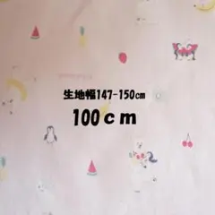 AG21【100cm】☆シロクマフルーツ　ジェラピケ