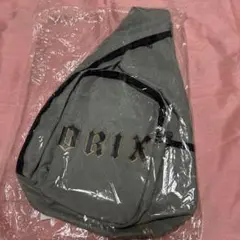 オリックスバファローズ　バッグ グレー 未使用