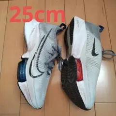 NIKE ズームテンポネクスト% Next% 25