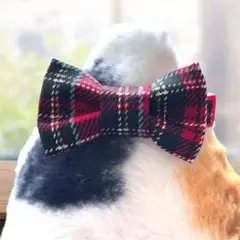 クラシカルタータンチェック・レッド2way猫の首輪(C)