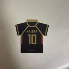 エゴ展 入場特典 カイザー