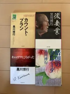 小説まとめ売り