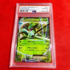 2025年最新】ジュカインex psa10の人気アイテム - メルカリ