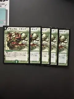 ナチュラルトラップ　5枚　①