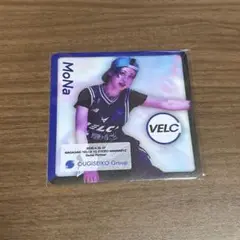 VELC MoNa マグネット